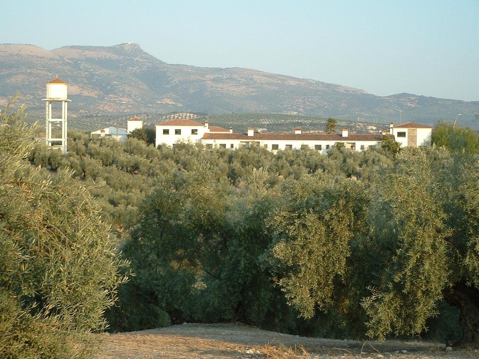 Апартаменты Cortijo De Frias Кабра Экстерьер фото